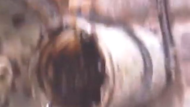 234 ДШП.mp4 смотреть онлайн