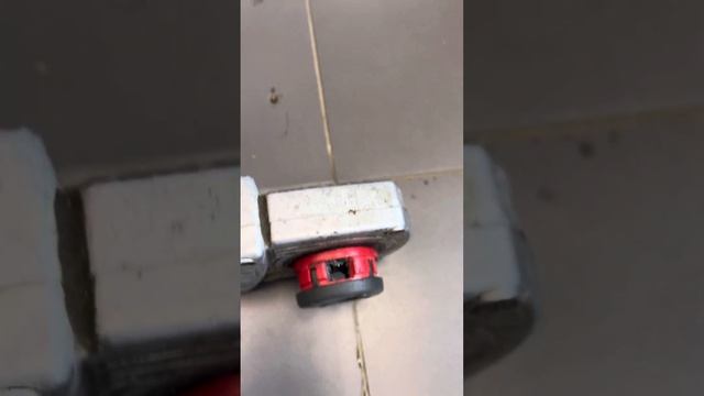 Эл нарезной клупп смотреть онлайн