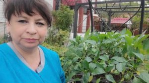 Как прошли выходные дни? Высаживаю томаты и перцы. Поездка на закуп. Жизнь семьи в деревне.