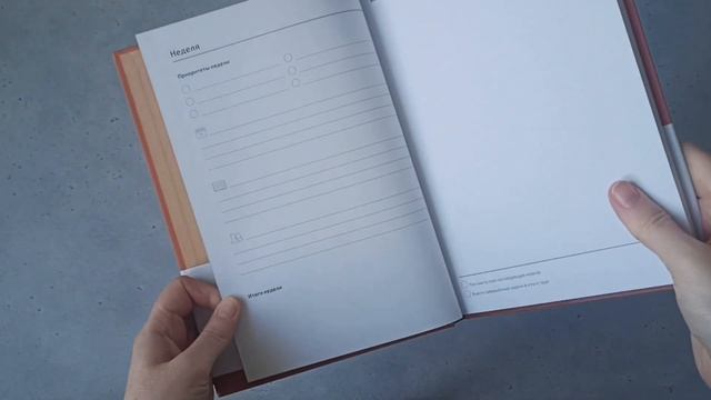 Планер Вари Веденеевой 