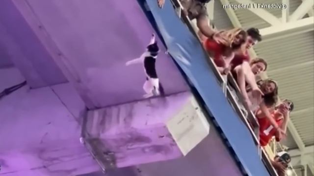 Глаза не Верят, но Эти Видео с Животными Повезло Снять