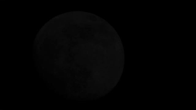 IVINA X White Fox Music - Moonlight