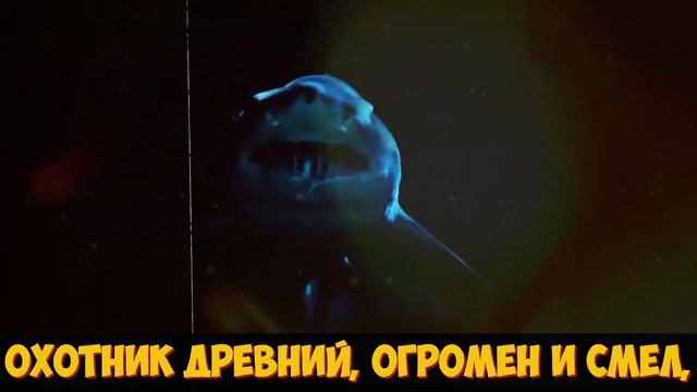 Песня Клип про МЕГАЛОДОНА Акула Мегалодон Megalodon Shark Betsy смотреть онлайн
