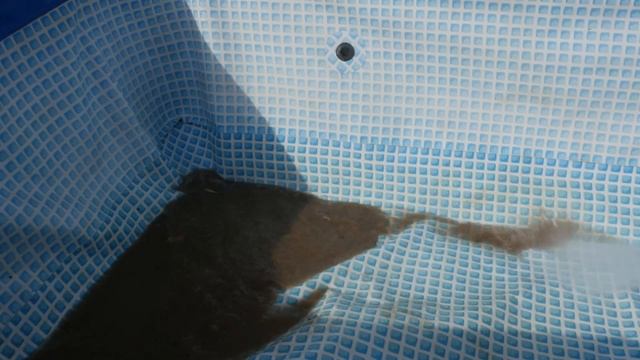 Тестирование мойки высокого давления GREENWORKS GPWG5II Gen смотреть онлайн