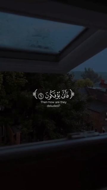 Срочно ‼️ 19-05-2025. Россия выравнивает фронт. Удары на 40 км в глубину.Трамп звонит Путину смотреть онлайн