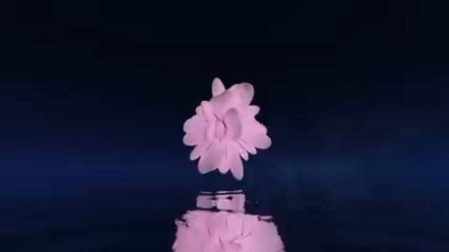 19-05-2025  Твои здоровые колени. Матрица Гаряева.