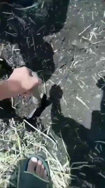 выкопали большую железку#железо #коп #металлоискатель