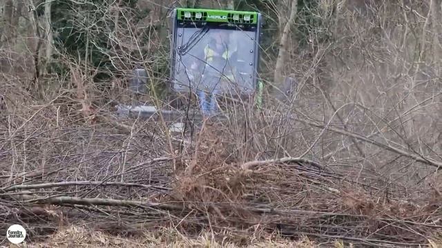 Новый лесной колёсный мульчер TREEMME модели MM250X смотреть онлайн