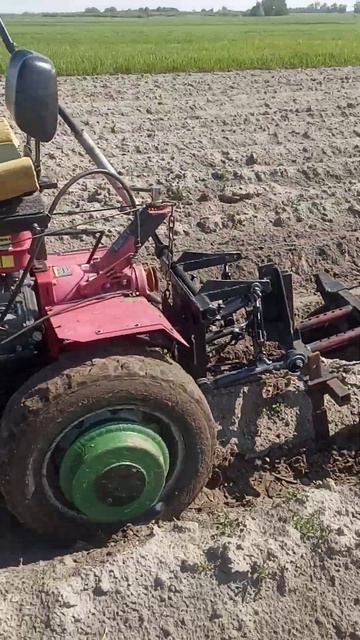 Передний адаптер,мотоблок,окучивает картошку. смотреть онлайн