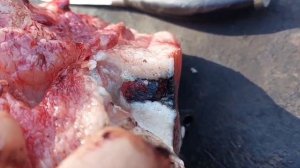 Сигнал охотника & Гром последствия возможной самообор