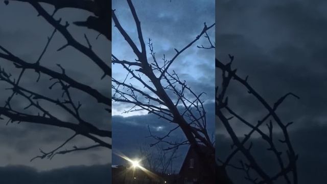 Просто Тёплый вечер.!!!.. смотреть онлайн