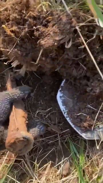 МЕТАЛЛОКОП 2023 #металлокоп #2023 #коп #металлолом #металло смотреть онлайн