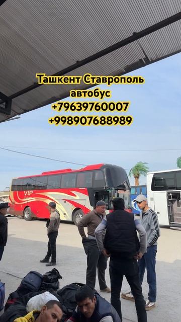 Ташкент Ставрополь автобус автобус ташкент ставроп?