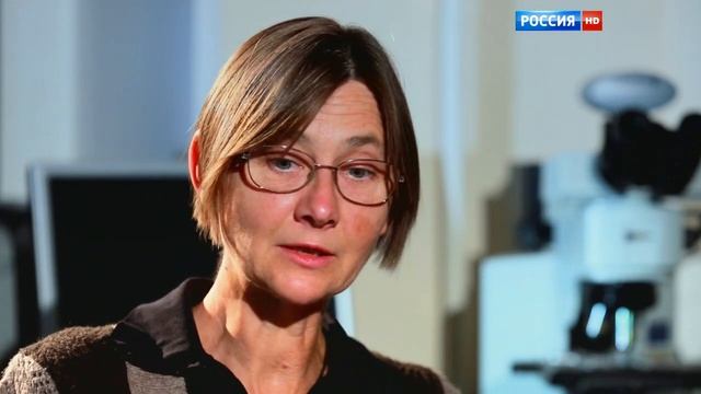 0330. НАУКА 2.0. ОСНОВНОЙ ЭЛЕМЕНТ - Рост. Зеркало прогресса смотреть онлайн