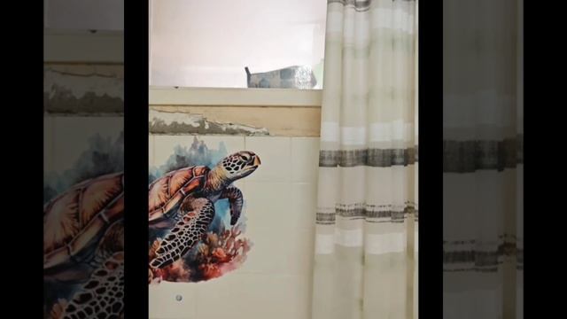 Сдается 1 комнатная квартира в Москве. Головинский р-н. м. Коптево /м. Водный стадион. Длительно смотреть онлайн