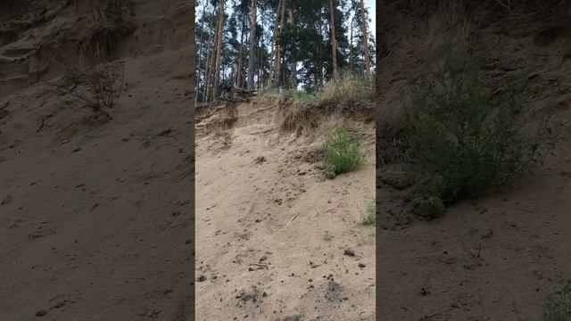 На берегу Оки смотреть онлайн