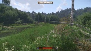 Карта Желеевских болот / Где найти сокровище — Kingdom Come