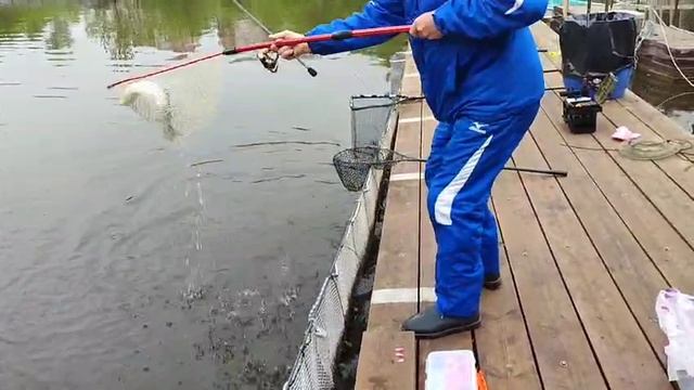 Спорт зона смотреть онлайн