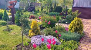 Май теплом не балует😔Но мы не унываем,делаем посадки,наводим красоту!!!🌸🤗🦋🌿🌞 #дачныебудни