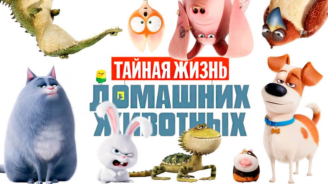 Тайная жизнь домашних животных (2016) / The Secret Life of Pets смотреть онлайн
