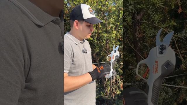 На що здатен Акумуляторний секатор ASA 20 в роботі? #stihlua # смотреть онлайн