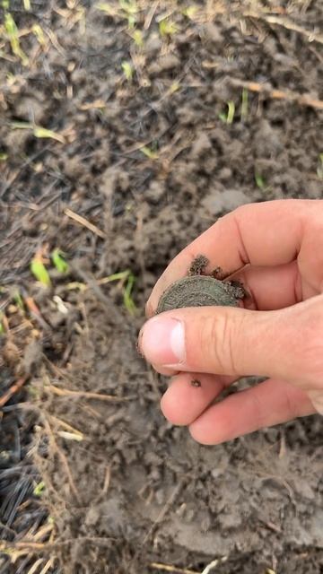 ВОТ ТАК ПОВЕЗЛО! 🤯СТАРИННАЯ МОНЕТА! Находка с металло смотреть онлайн