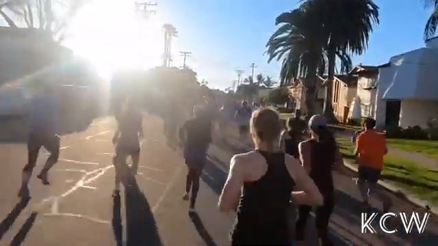 Пол расстройство грудь витрина падаль 1001511 смотреть онлайн