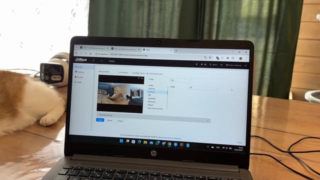 Выжимка №2. Камера видеонаблюдения DH-IPC-PDW3849P-A180-E2-AS-PV
