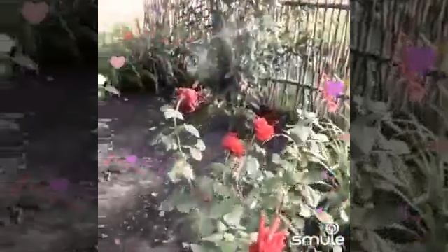 "Хӗрсем утӑ ҫулма тухса каяҫҫӗ". Если перевести с чувашского, то "Хӗр" - девушка, "Хӗрсем" -девушки смотреть онлайн