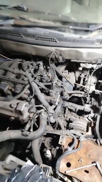 Где находится бензиновый фильтр грубой очистки Mitsubishi смотреть онлайн