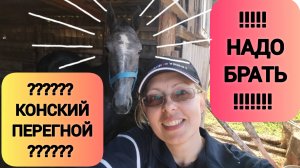 КОНСКИЙ ПЕРЕГНОЙ???  
НАДО БРАТЬ!!!!