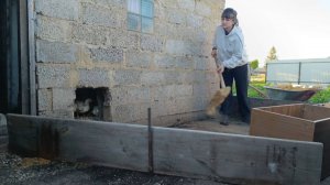 В ДЕРЕВНЕ НАДО УМЕТЬ ВСЁ!МУЖ НА РАБОТЕ,СТРОЮ КЛЕТКУ/БЕШЕНСТВА НЕ БУДЕТ!ПОКОЯ НЕТ В ДОМЕ