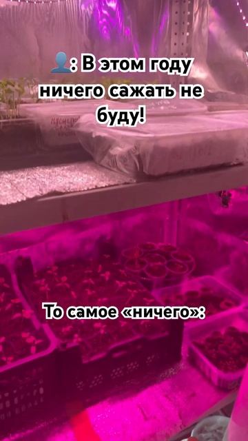 #приколы#смешновидео#travel#котики#огород#рассада#деревн смотреть онлайн