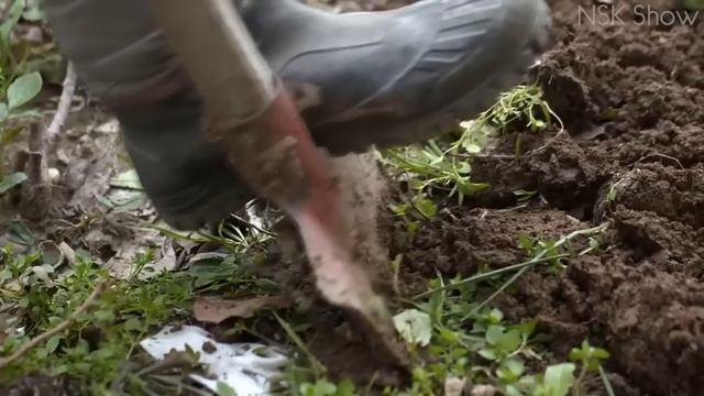 Были Обнаружены Ужасающие и Загадочные Наскальные Ри? смотреть онлайн