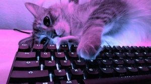 🖤Right Person - Кофта пахнет твоим домом (1 час) 🖤