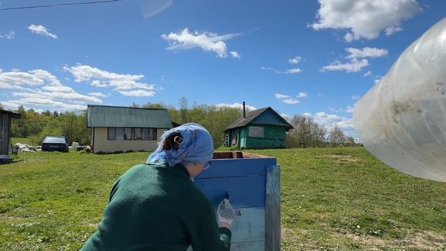 #1 Пашем землю| красим пчелиный домик| собираю зелень в смотреть онлайн