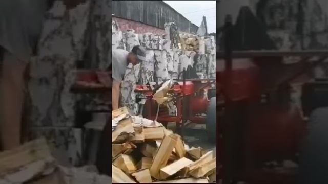 Дровокол - год без забот.28.08.24 г. смотреть онлайн