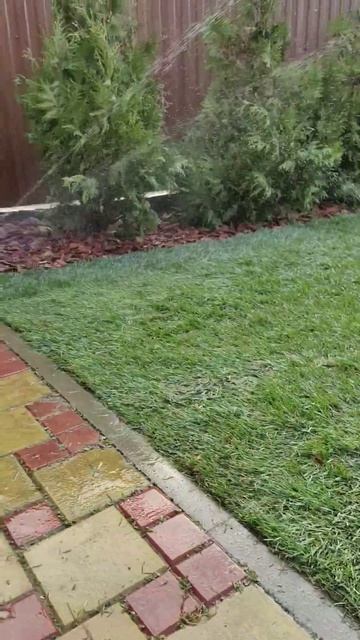 Рулонный газон и Hunter Mr rotator, объект г.Майкоп 2024 смотреть онлайн