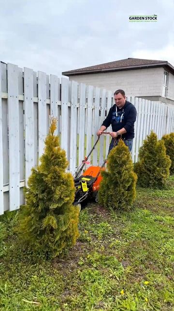 А вы что знаете про эти косилки? #косилка #газонокосилк смотреть онлайн