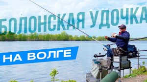 Как покажет себя БОЛОНКА на великой реке ВОЛГЕ?