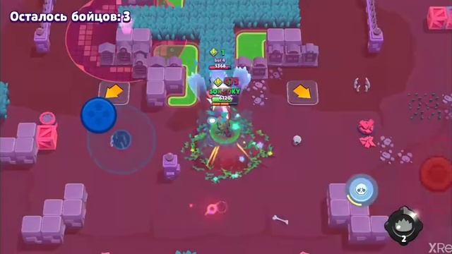 #1 топ 1 с Розой