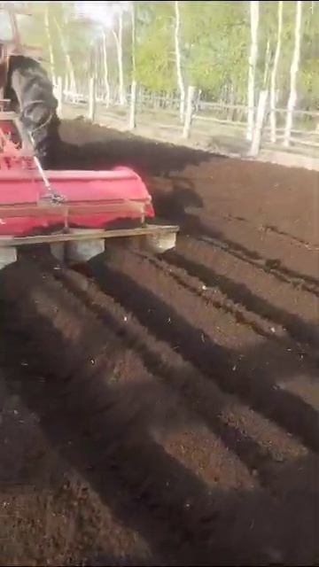 Самодельная борона для посадки картофеля смотреть онлайн