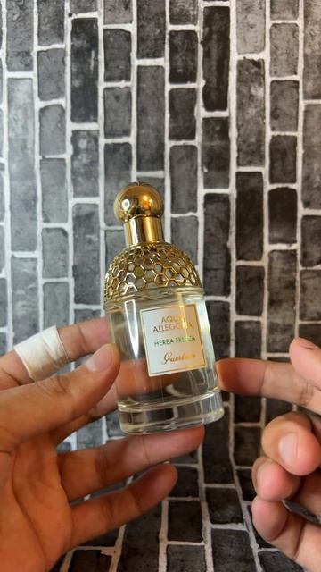 это один из лучших ароматов - в линейке аква аллегория смотреть онлайн