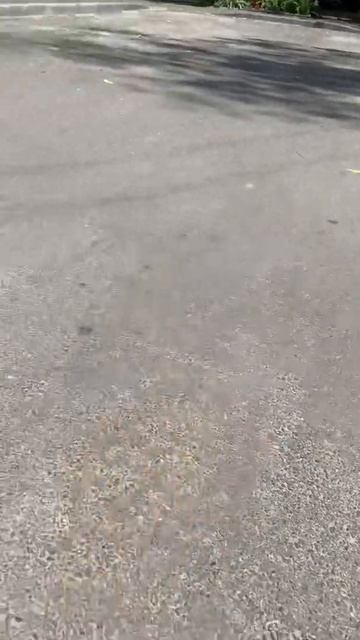 Шпиц Марк смотреть онлайн