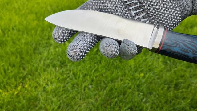 Ордо-синистер