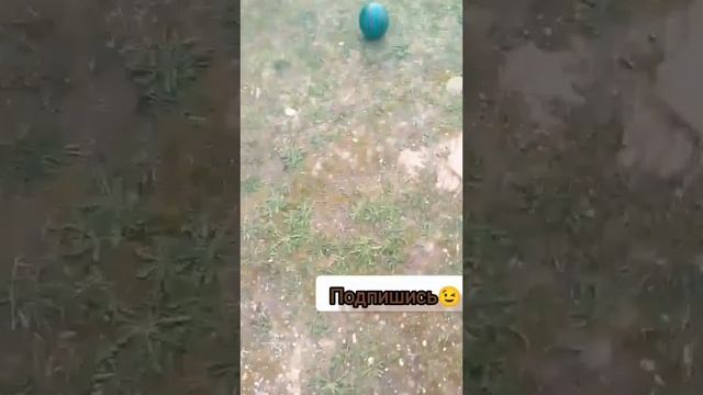Сравнение мяча "арбуз арбуз привет" VS "Красный из амиме смотреть онлайн