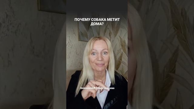 Почему собака метит дома?