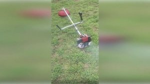Триммер бензиновый BOXBOT GBC-52