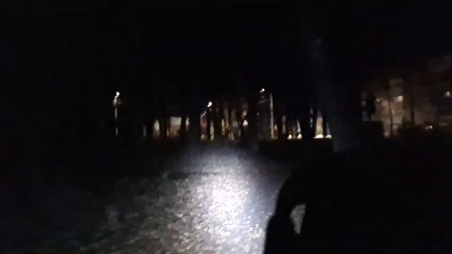 Ковров Текстильщик Кремль (парк) октябрь 2022 года жутко