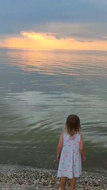 Приехали и обалдели! море закипело! Ростов#сибирякина? смотреть онлайн